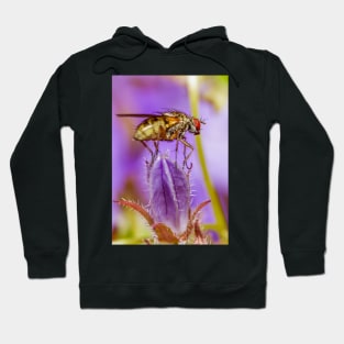 Fly Hoodie